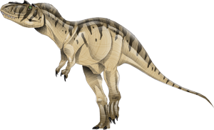 Albertosaurus 2