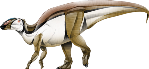 Gryposaurus 2
