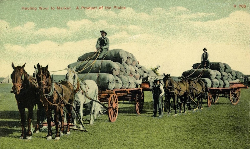 Agriculture at the Turn of the Century