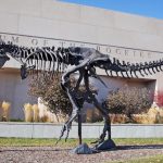 Montana Paleontology Top Ten